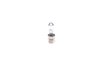 Bec, semnalizator BOSCH 1 987 302 533