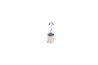 Bec, semnalizator BOSCH 1 987 302 533