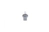 Bec incandescent BOSCH 1 987 302 874