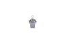 Bec incandescent BOSCH 1 987 302 874