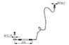 FURTUN FRANA BOSCH 1 987 481 339 - Compatibil cu AUDI, SEAT, SKODA, VW