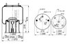 BURDUF SUSPENSIE PNEUMATICA PHOENIX 1 D 28 D-11 - Piesa auto compatibila cu mai multe marci