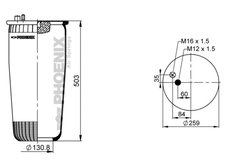 Burduf suspensie pneumatica Phoenix 1 DF 19 B-1 NP