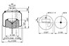 BURDUF SUSPENSIE PNEUMATICA PHOENIX 1 DF 20 G-2 - Piesa auto compatibila cu mai multe marci
