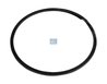 INEL DE ETANSARE, GALERIE EVACUARE DT SPARE PARTS 1.10894 - Piesa auto compatibila cu mai multe marci