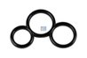 GARNITURA, POMPA COMBUSTIBIL DT SPARE PARTS 1.10944 - Compatibil cu SCANIA