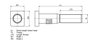 BOLT ROATA DT SPARE PARTS 1.17131 - Compatibil cu SCANIA
