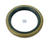INEL ETANSARE, AX CAME FRANA DT SPARE PARTS 1.18187 - Compatibil cu DAF, SCANIA