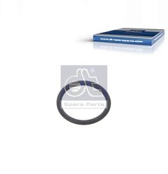 Inel etansare DT Spare Parts 1.24313