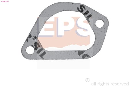 Garnitura termostat EPS 1.890.507