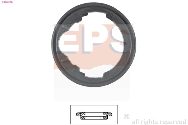 Garnitura termostat EPS 1.890.548