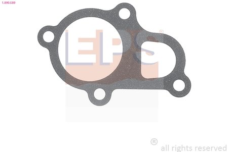 Garnitura termostat EPS 1.890.589