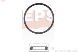 Garnitura termostat EPS 1.890.687