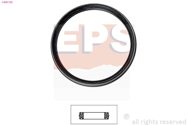 Garnitura termostat EPS 1.890.720