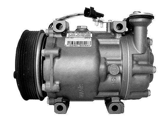 Compresor climatizare Airstal 10-0621