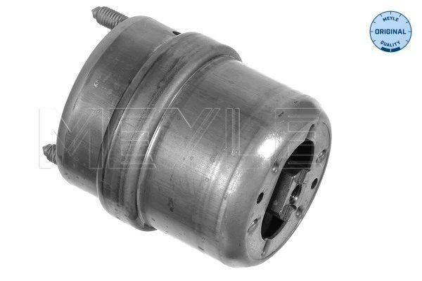 SUPORT MOTOR MEYLE 100 199 0075 - Compatibil cu VW