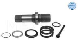 ARBORE, DIFERENTIAL MEYLE 100 498 0243 - Compatibil cu VW