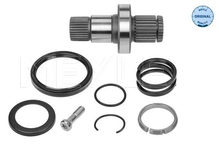 Arbore, diferential Meyle 100 498 0245