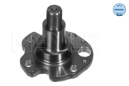 Articulatie directie suspensie roata Meyle 100 501 0029