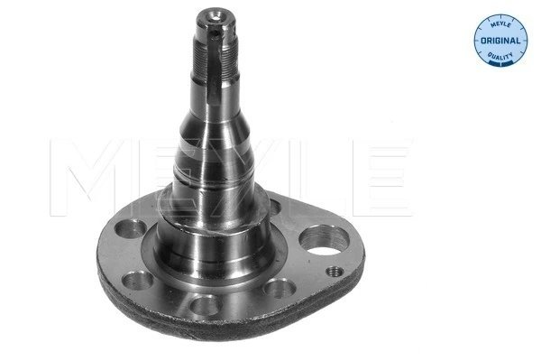 Articulatie directie suspensie roata Meyle 100 501 0037