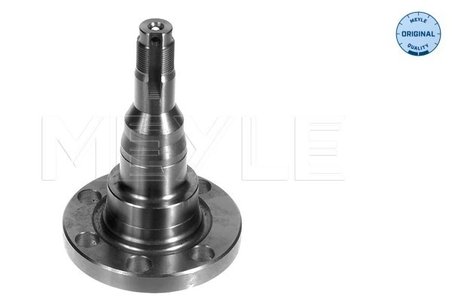ARTICULATIE DIRECTIE SUSPENSIE ROATA MEYLE 100 501 1010 - Compatibil cu AUDI, SEAT, VW