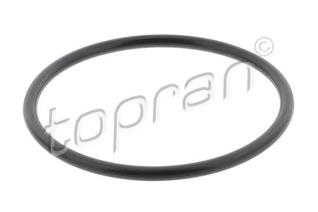 Garnitura pompa de apa Topran 100 571