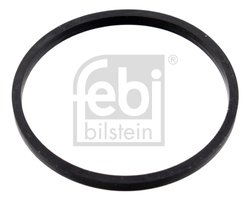 Garnitura termostat Febi Bilstein 100055