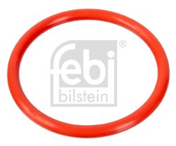 Garnitura, flansa lichid racire Febi Bilstein 100078