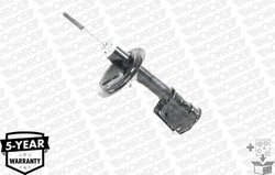 Amortizor Monroe 10053