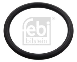 Garnitura etansare, furtun agent de racire Febi Bilstein 100