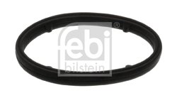 Etansare racire ulei Febi Bilstein 101399