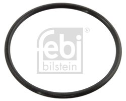 Garnitura termostat Febi Bilstein 10258