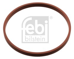 Inel De Etansare, stut clapeta de acceleratie Febi Bilstein 