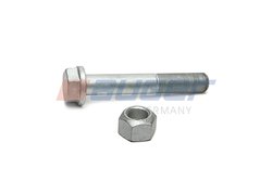 Surub Auger 106853