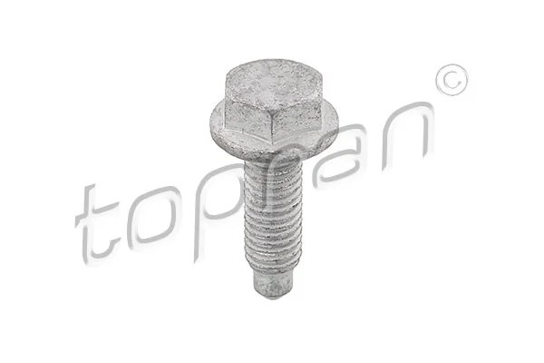 Surub Topran 107 194