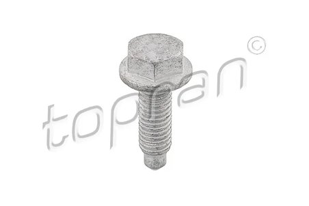 Surub Topran 107 194