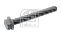 SURUB, PLACA DE PRESIUNE FEBI BILSTEIN 107696 - Compatibil cu MERCEDES-BENZ, SETRA