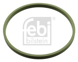 Inel De Etansare, stut clapeta de acceleratie Febi Bilstein 