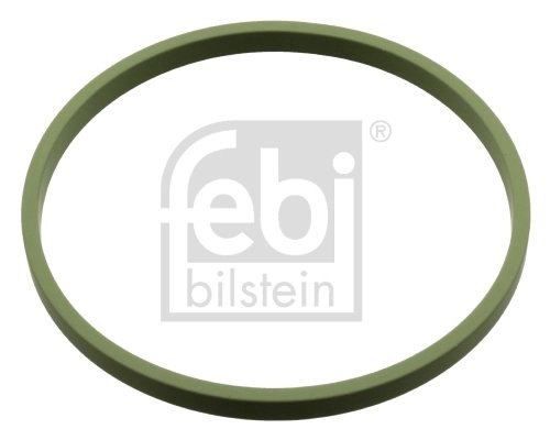 Inel De Etansare, stut clapeta de acceleratie Febi Bilstein 
