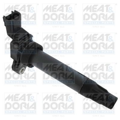 Bobina de inductie Meat & Doria 10808E