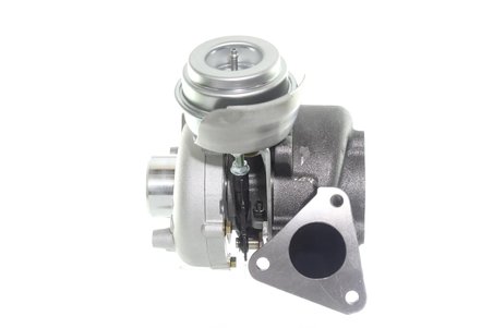 Turbina Alanko 10900022
