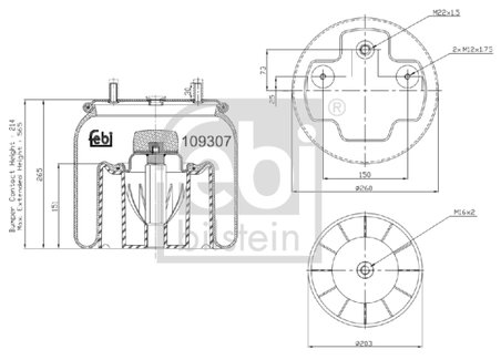 BURDUF SUSPENSIE PNEUMATICA FEBI BILSTEIN 109307 - Piesa auto compatibila cu mai multe marci