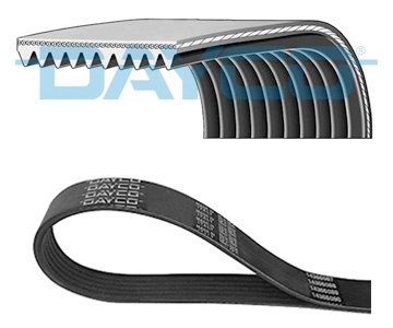 CUREA TRANSMISIE DAYCO 10PK1155HD - Compatibil cu SCANIA