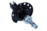 Amortizor Maxgear 11-0259