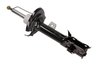 Amortizor Maxgear 11-0548