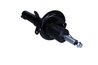 AMORTIZOR MAXGEAR 11-0589 - Compatibil cu FORD