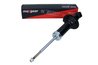 Amortizor Maxgear 11-0987