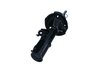 AMORTIZOR MAXGEAR 11-1021 - Compatibil cu KIA