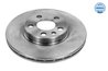 Disc frana Meyle 11-15 521 0015