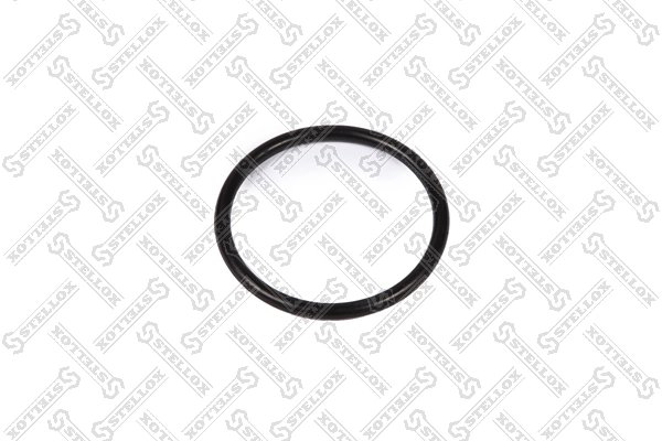 GARNITURA, CARCASA TERMOSTAT STELLOX 11-25428-SX - Compatibil cu ARO, AUDI, BESTURN (FAW), CHRYSLER, DODGE, FORD, JEEP, MITSUBIS